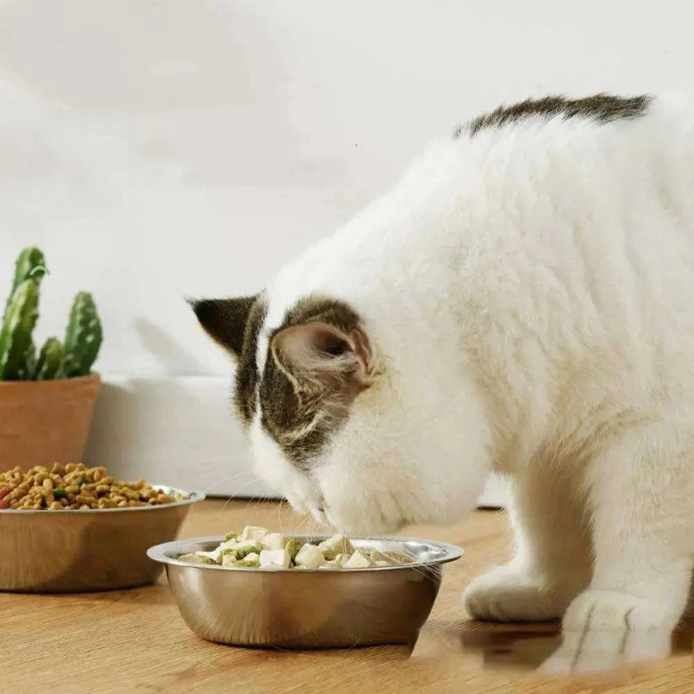 Stainless Steel Pet Bowl