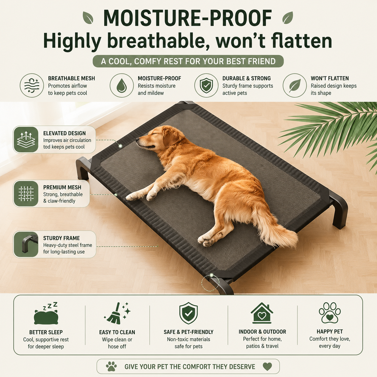 Elevated Outdoor Pet Bed