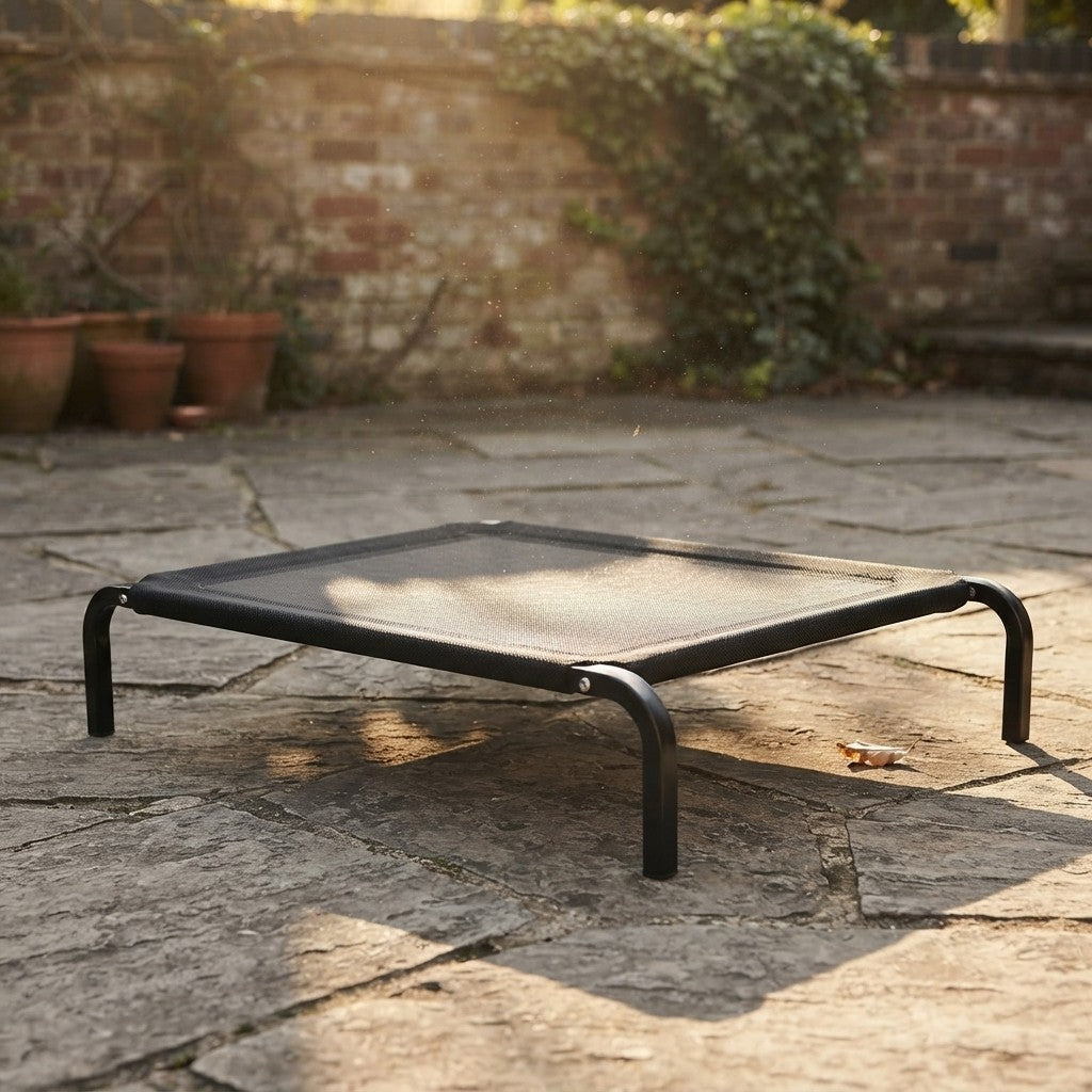 A black metal elevated pet cot with a mesh floor, set on a stone patio in an outdoor backyard setting with a brick wall and potted plants in the background.